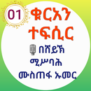 ቁርአን ተፍሲር በድምጽ በሸይኽ ሚስባህ ሙስጠፋ APK