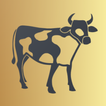 Dairy Datazen