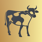 ikon Dairy Datazen