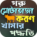 APK গরু মোটা তাজাকরণ পদ্ধতি