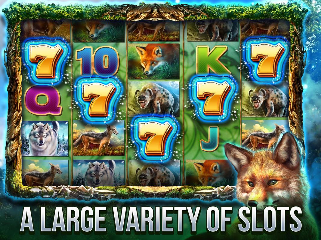 Cats Slot Machine Download Cats Slot Machine Download