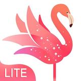 YOME LIVE Lite - Live Stream, Live Video & Chat icône