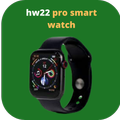 ”hw22 pro smartwatch