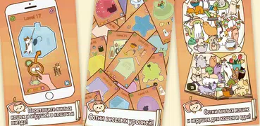Pack Cat Master - Easy Game