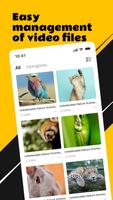 X Hub Player تصوير الشاشة 1