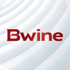 Bwine Mini icono