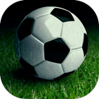 Football Betting Tips Pro icono