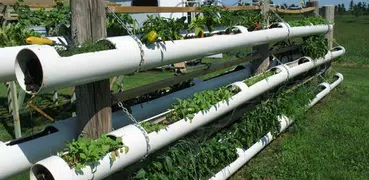 Hydroponics Design Ideas