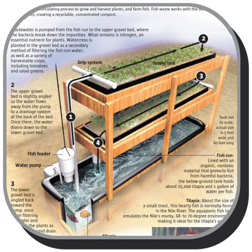 Hydroponics Design Ideas