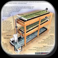 Hydroponics Design Ideas โปสเตอร์