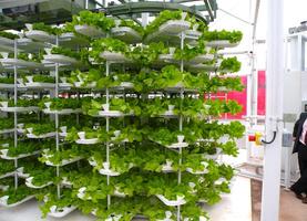 Hydroponics Design Ideas ภาพหน้าจอ 2