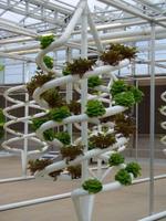 Hydroponics Design Ideas ภาพหน้าจอ 3