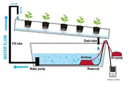 Systèmes hydroponiques capture d'écran 3