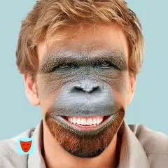 Face Swap XAPK download