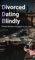 DDB - Divorced Dating Blindly poster
