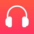 SongFlip Music Streamer Player