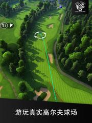 Ultimate Golf 截图 21