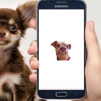 Funny Dog Stickers screenshot 1