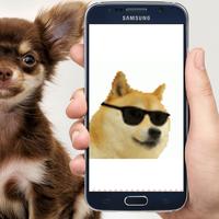 Funny Dog Stickers screenshot 2