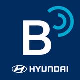 Hyundai Bluelink Europe Zeichen