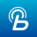 Hyundai Bluelink Europe APK