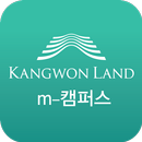 APK 강원랜드 m-캠퍼스