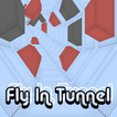 Fly In Tunnel