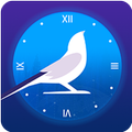 Cuckoo Clock