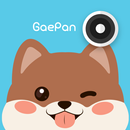 개판 - 반려동물 SNS APK