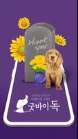 굿바이독 gönderen