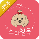 스타일독 - STYLE DOG (상점주)-APK
