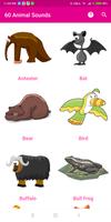 60 Animal Sounds Affiche