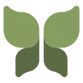 حامی