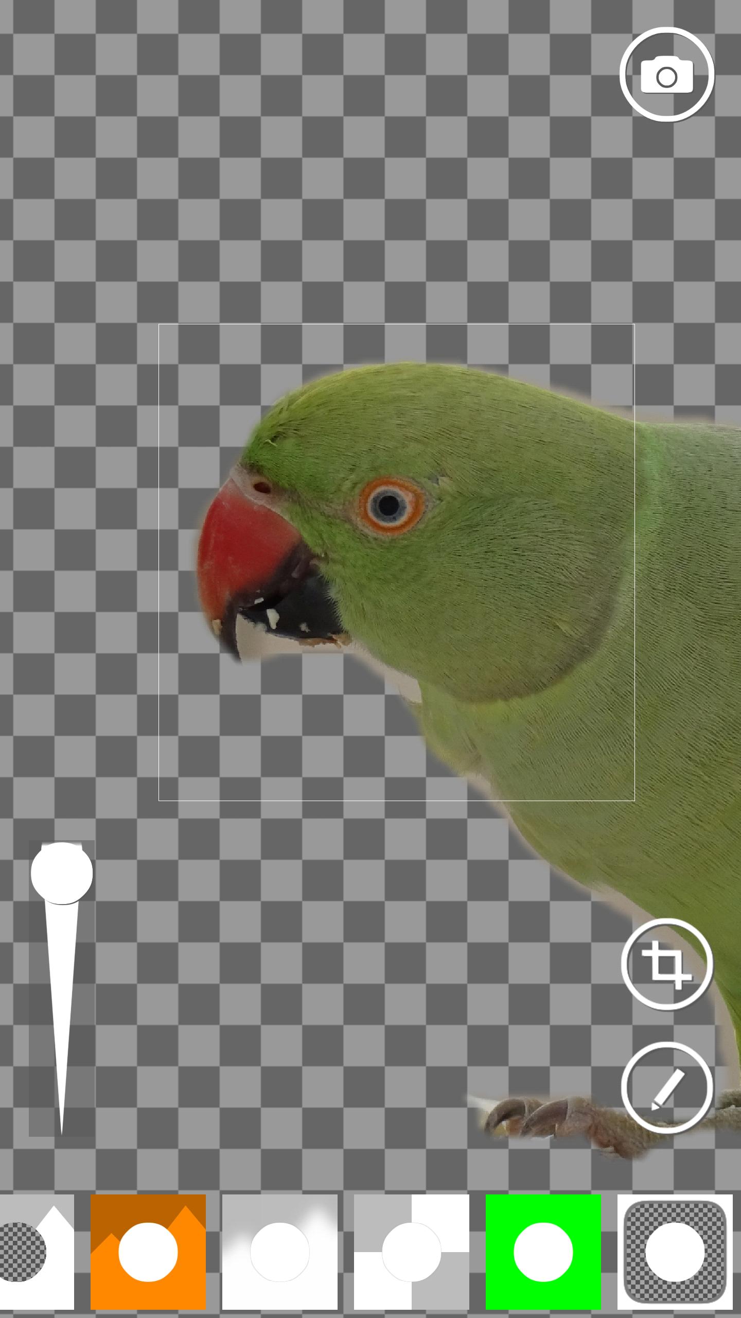 Ai Green Screen For Android Apk Download