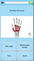 برنامه‌نما Anatomy Game عکس از صفحه
