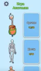 Скачать Игра Анатомия APK