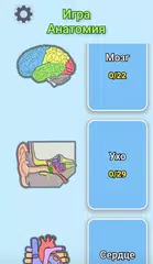 Скачать Игра Анатомия APK