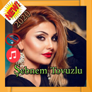 Şebnem Tovuzlu MP3 2020 APK