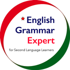 English Grammar Expert icône