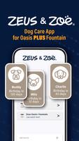 Zeus & Zoë ® постер