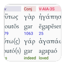 Hebrew/Greek Interlinear Bible APK