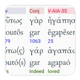 Hebrew/Greek Interlinear Bible ikon