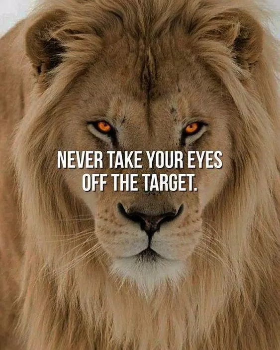 Best Quotes and Quotes wallpaper APK pour Android Télécharger Best Quotes and Quotes wallpaper APK pour Android Télécharger