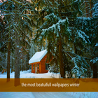 The most beatifull winter wallpapers-icoon