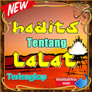 Hadits Tentang Lalat Terlengkap APK