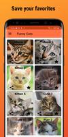 برنامه‌نما Funny Cats عکس از صفحه