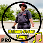 Malome Vector Songs Album Pro icône