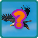 TEKA TEKI GAMBAR APK