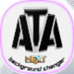 ATA MLBG Changer Advices