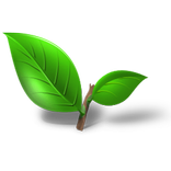 Şifalı bitkiler meyveler